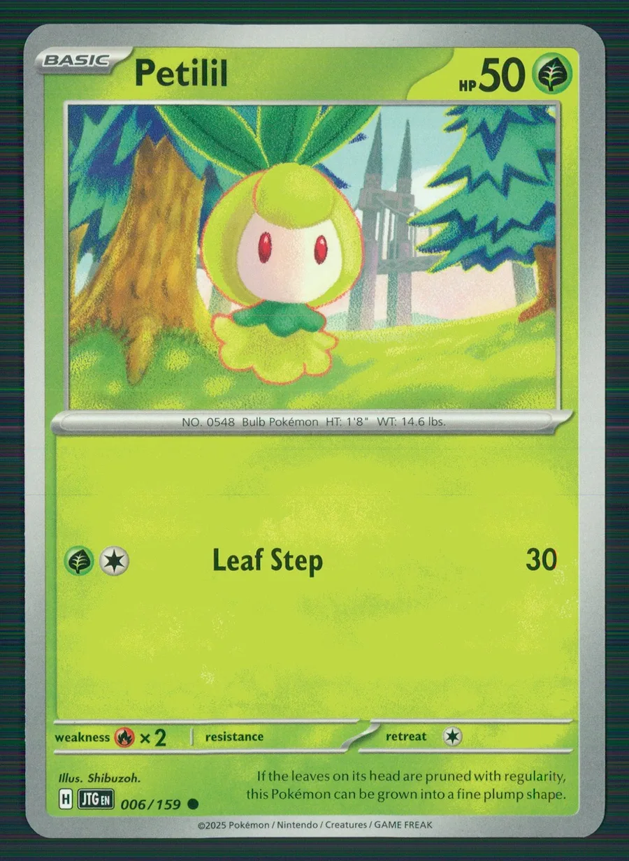 Petilil Journey Together #6