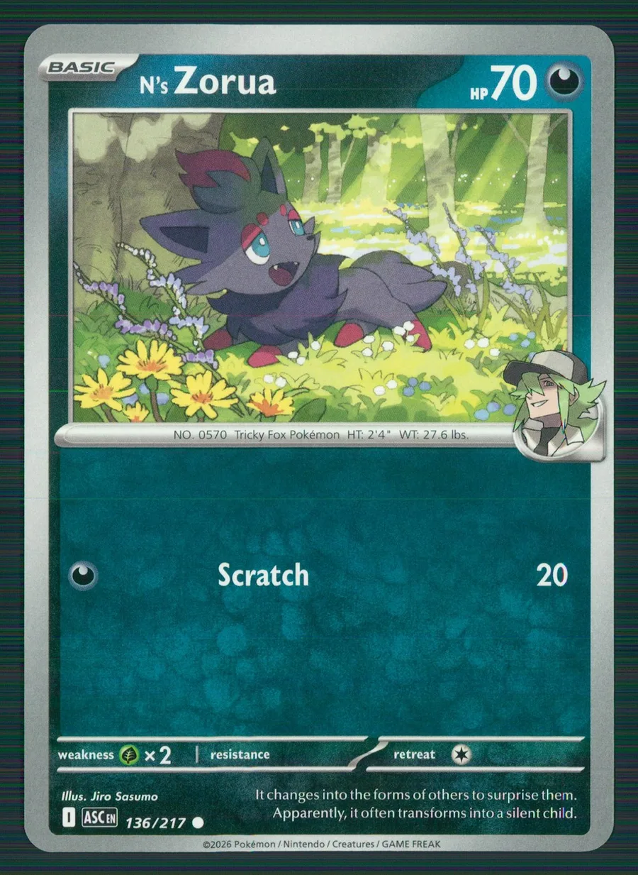 N's Zorua Ascended Heroes #136