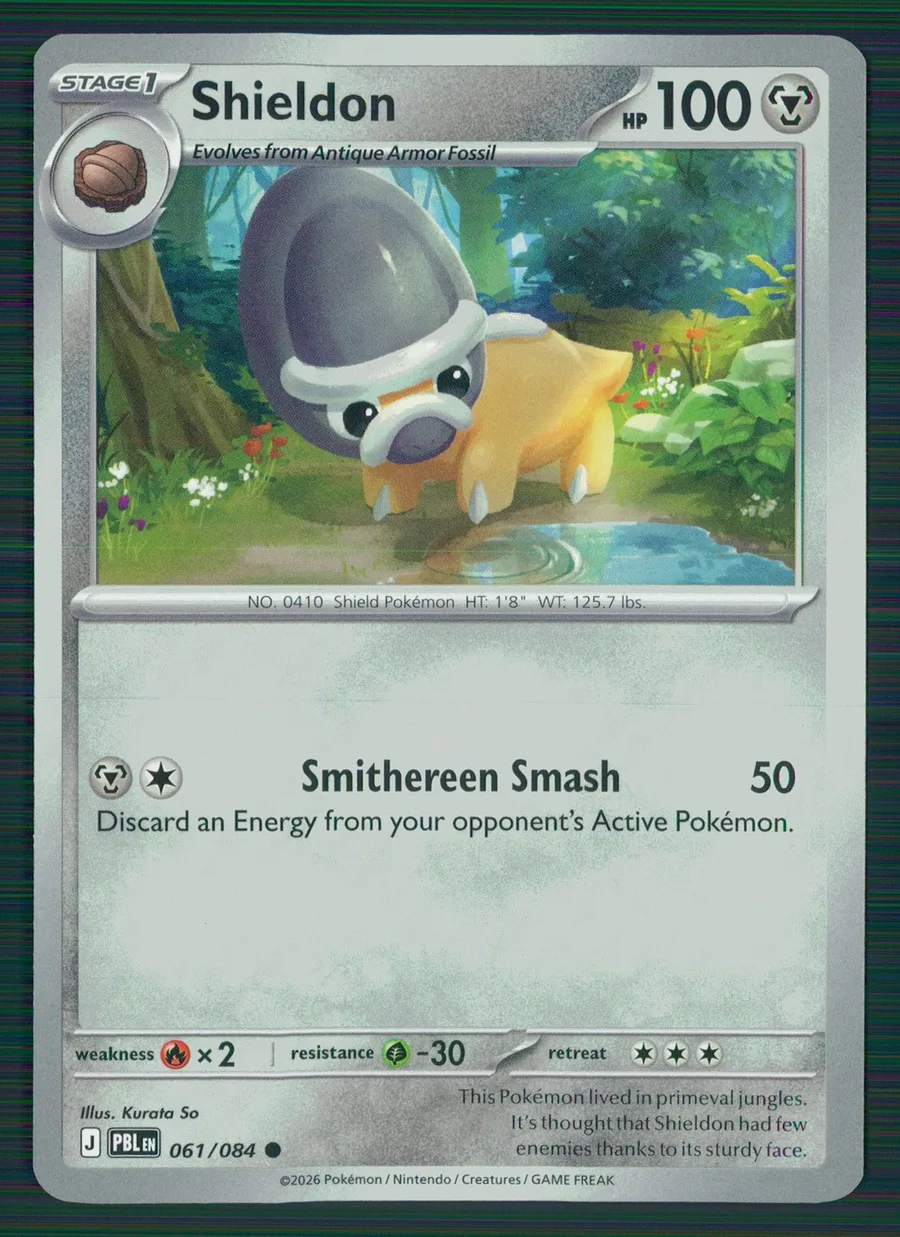Shieldon Pitch Black #61