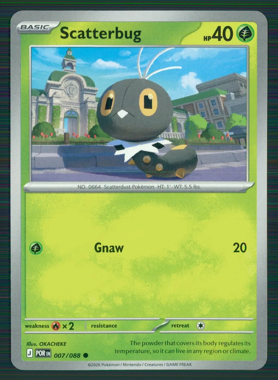 Scatterbug Perfect Order #7