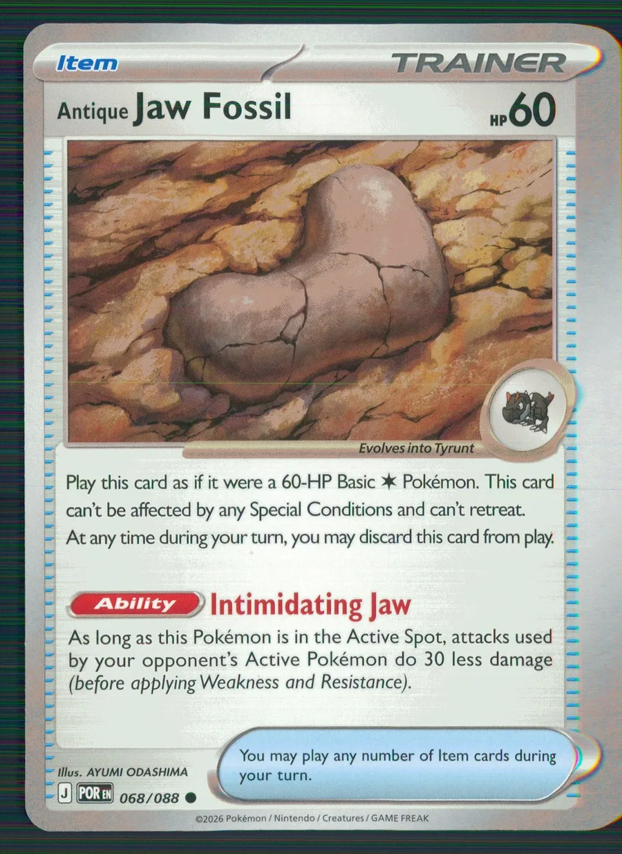 Antique Jaw Fossil Perfect Order #68