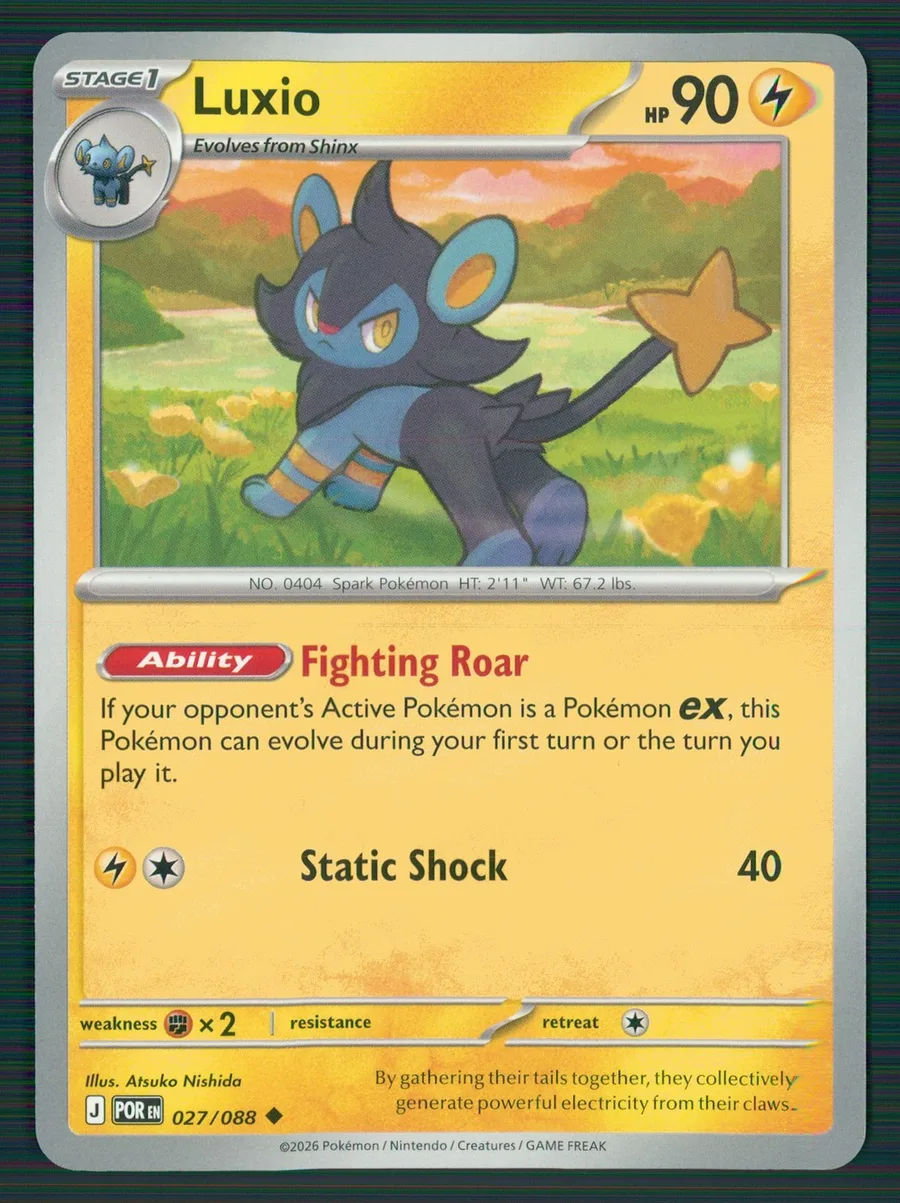 Luxio Perfect Order #27