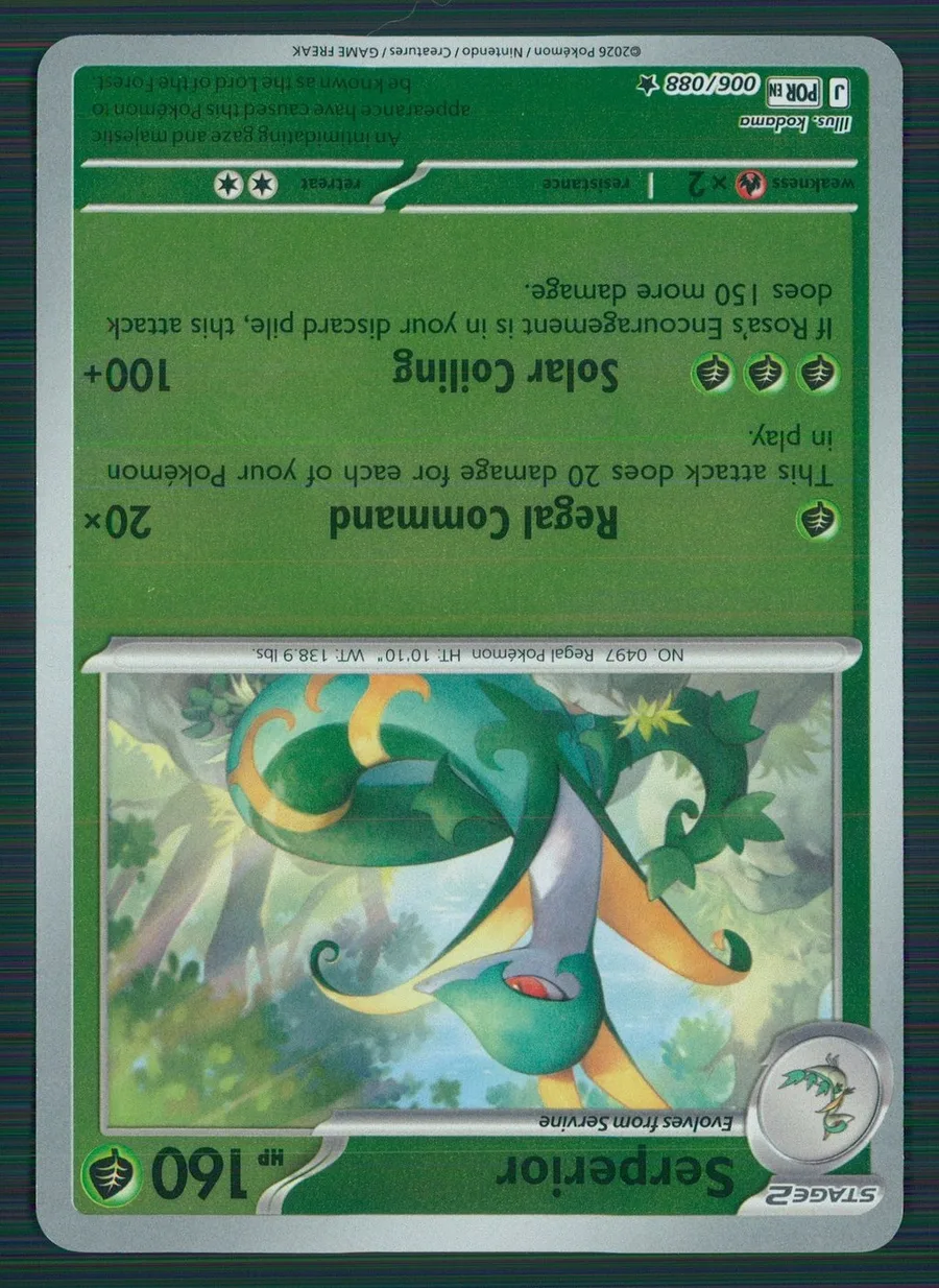 Serperior Perfect Order #6