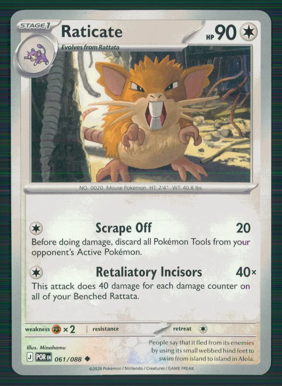 Raticate Perfect Order #61