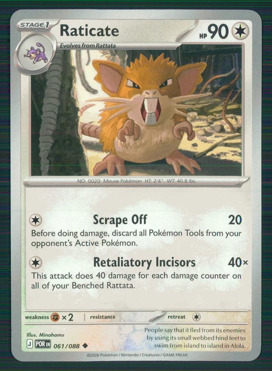 Raticate Perfect Order #61