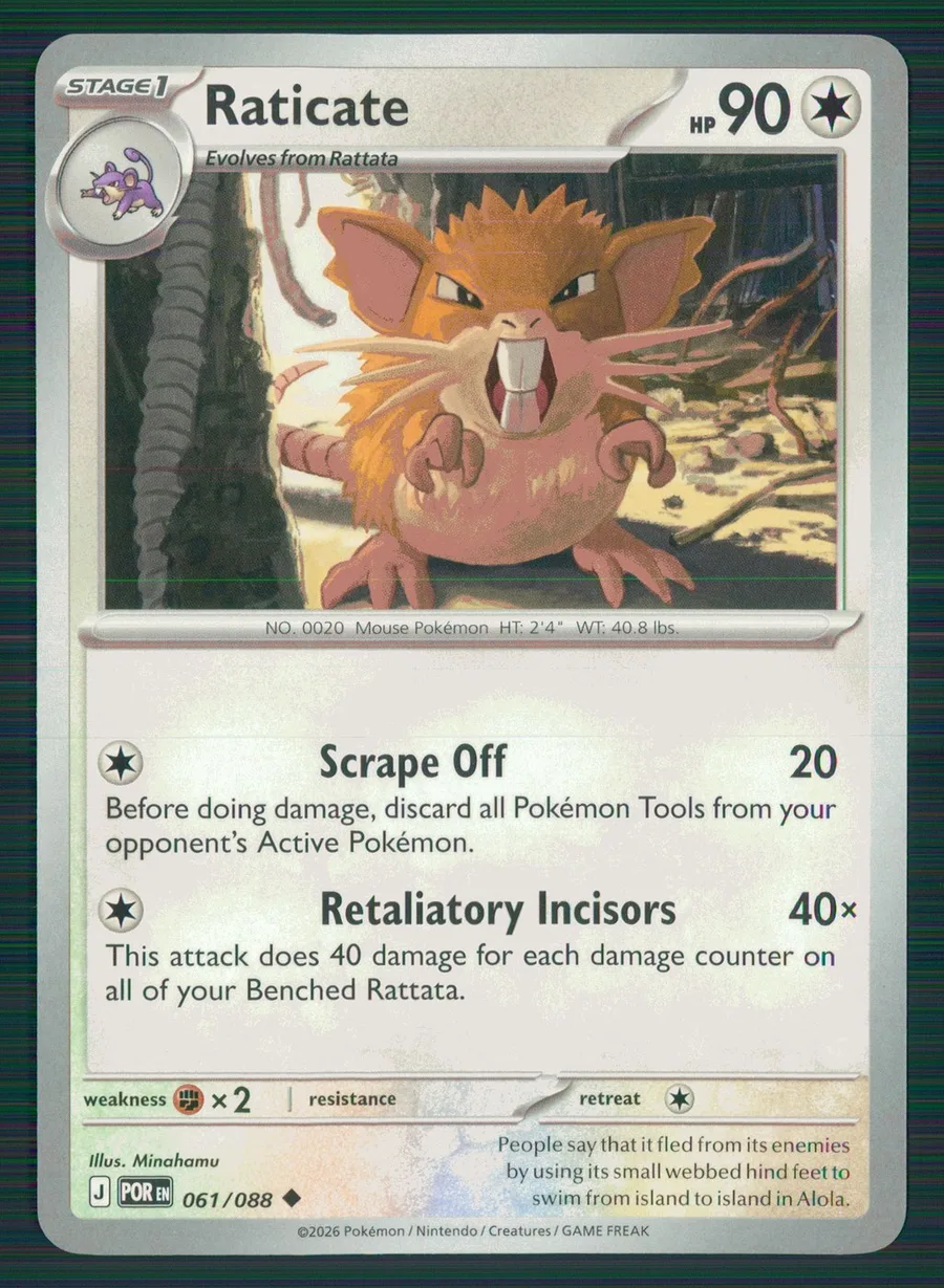 Raticate Perfect Order #61