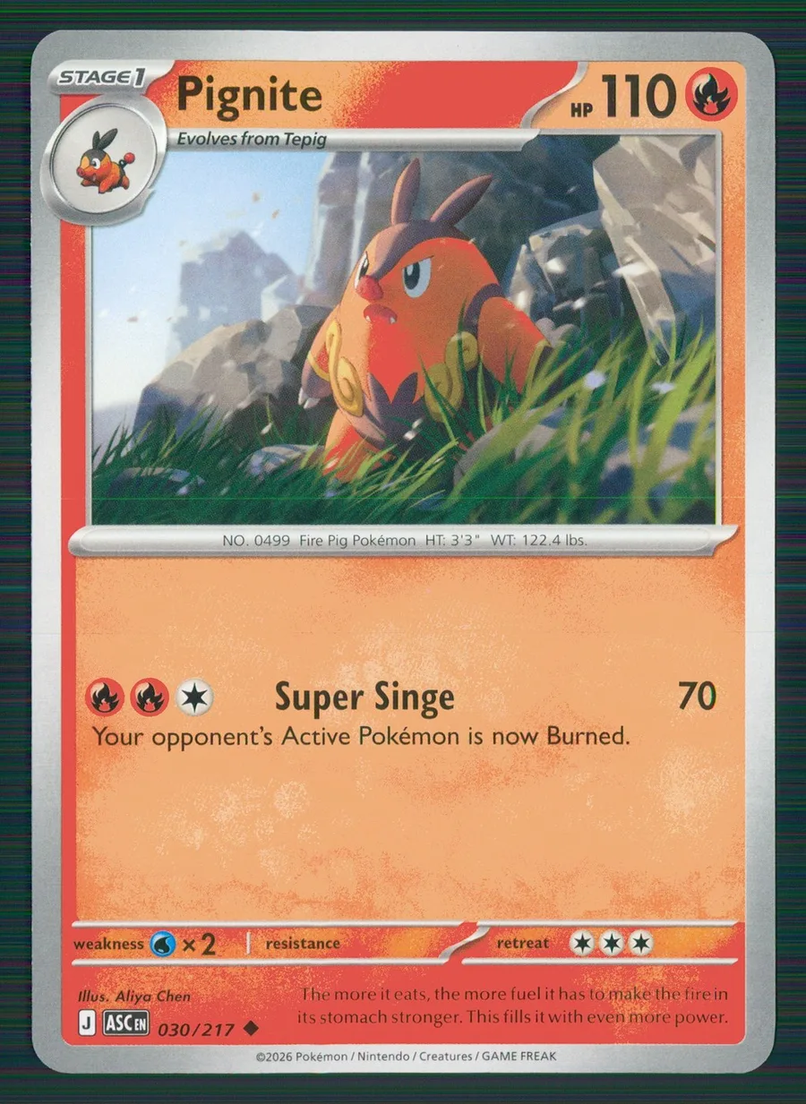 Pignite Ascended Heroes #30