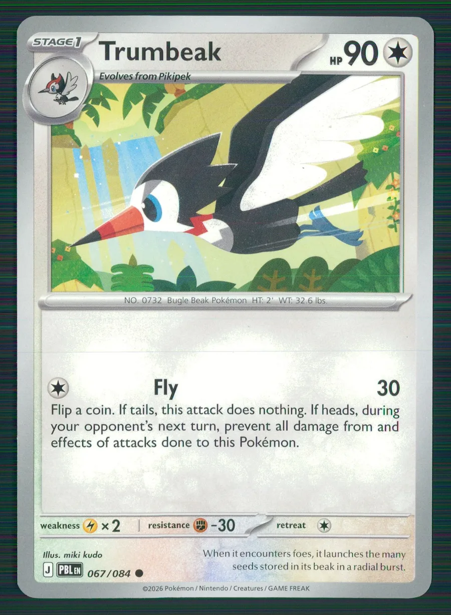 Trumbeak Pitch Black #67