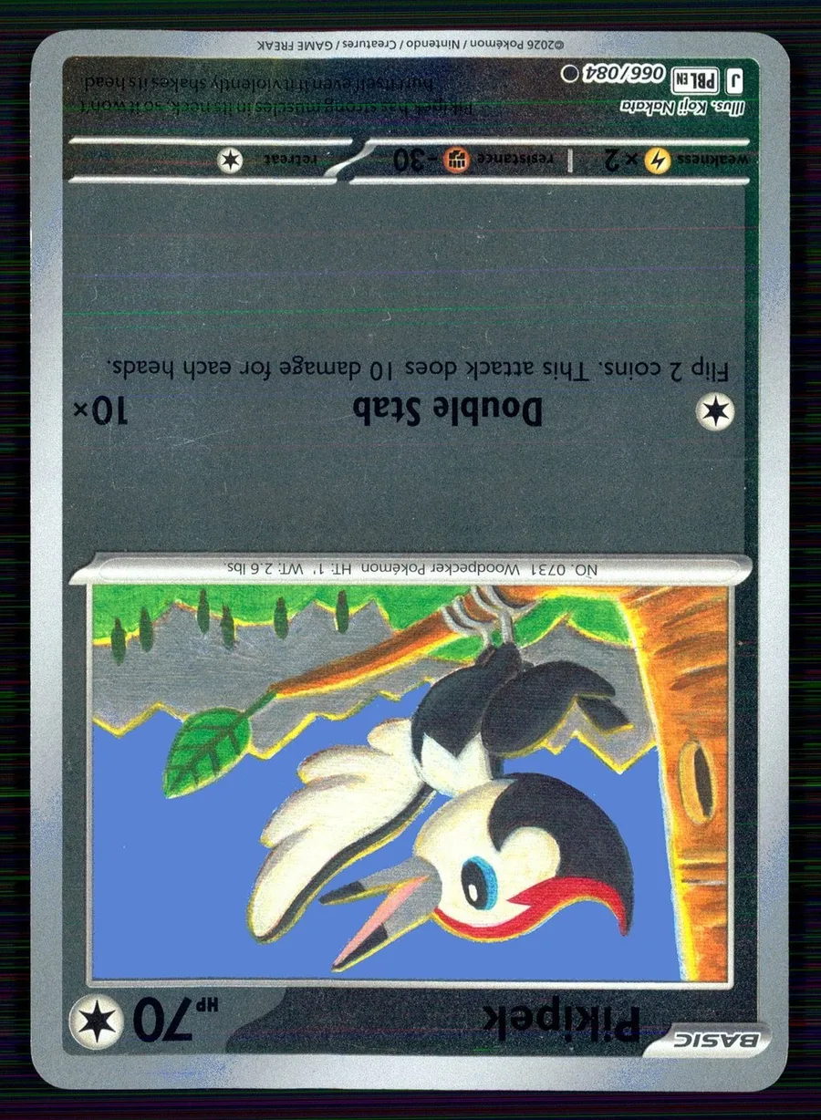 Pikipek Pitch Black #66