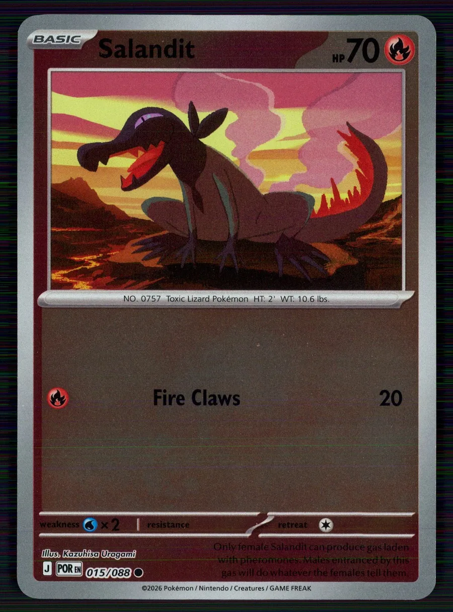 Salandit Perfect Order #15