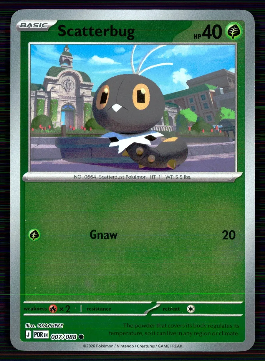 Scatterbug Perfect Order #7