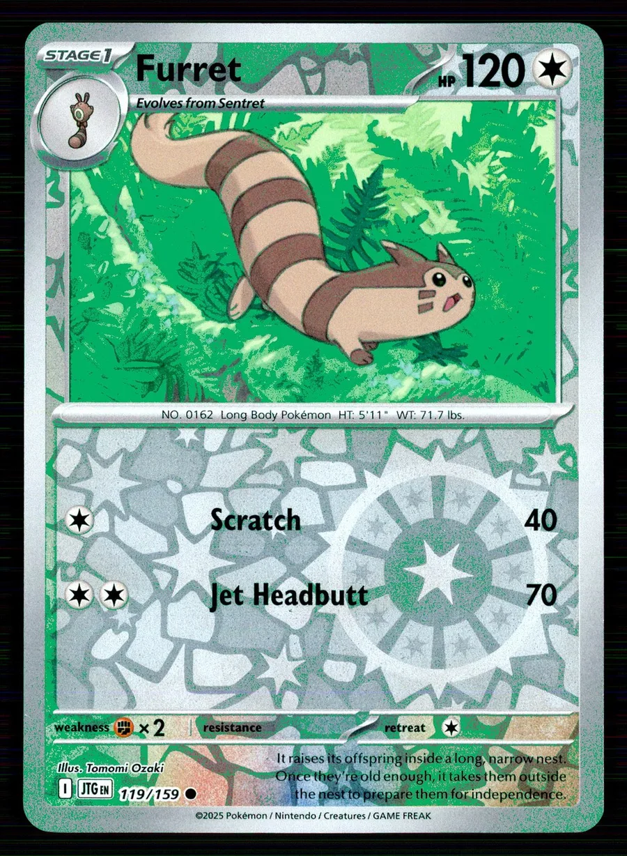 Furret Journey Together #119