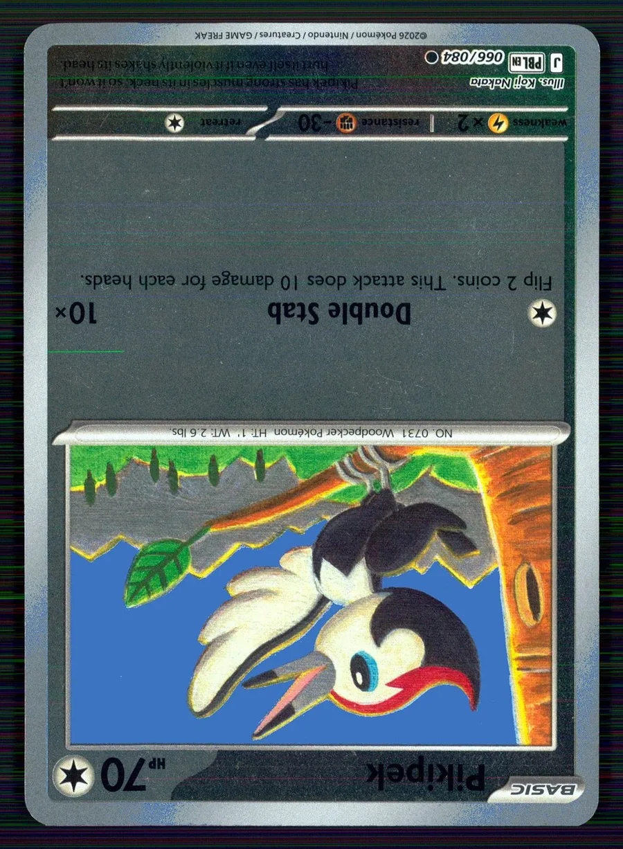 Pikipek Pitch Black #66