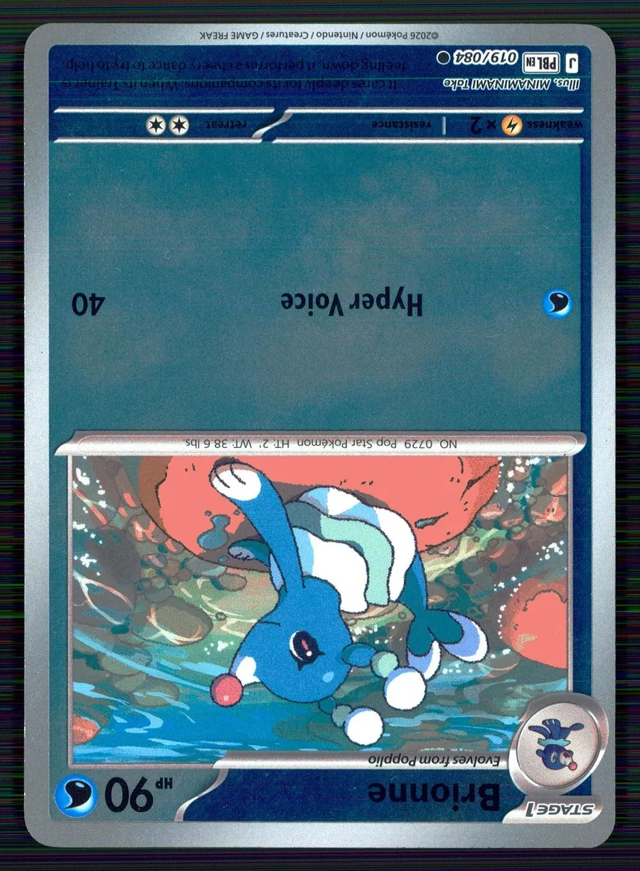 Brionne Pitch Black #19