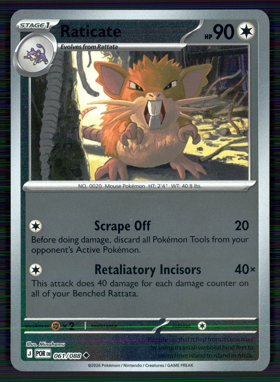 Raticate Perfect Order #61