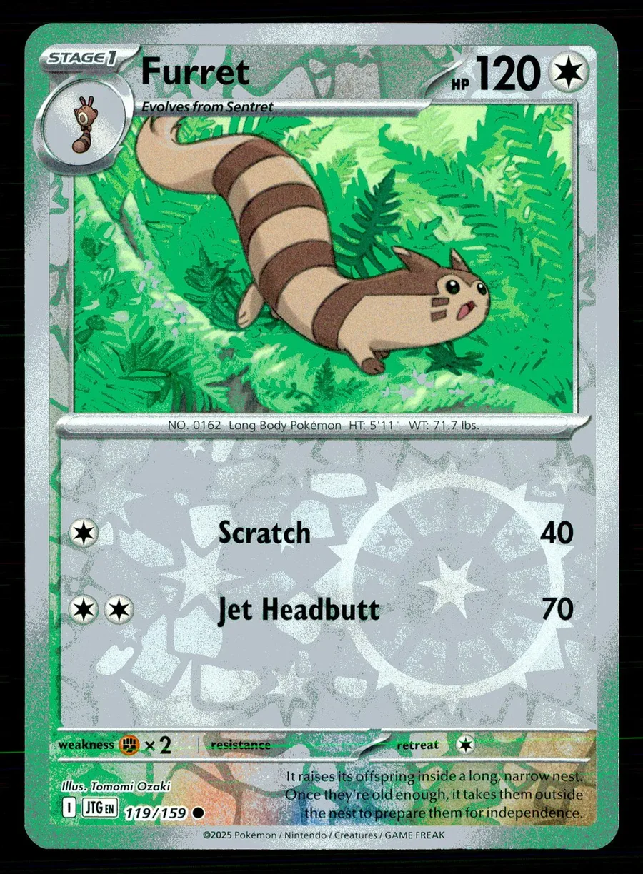 Furret Journey Together #119