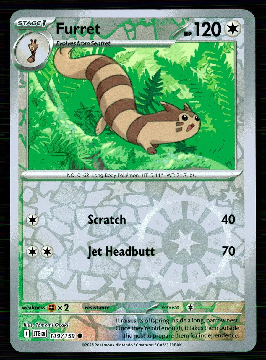 Furret Journey Together #119