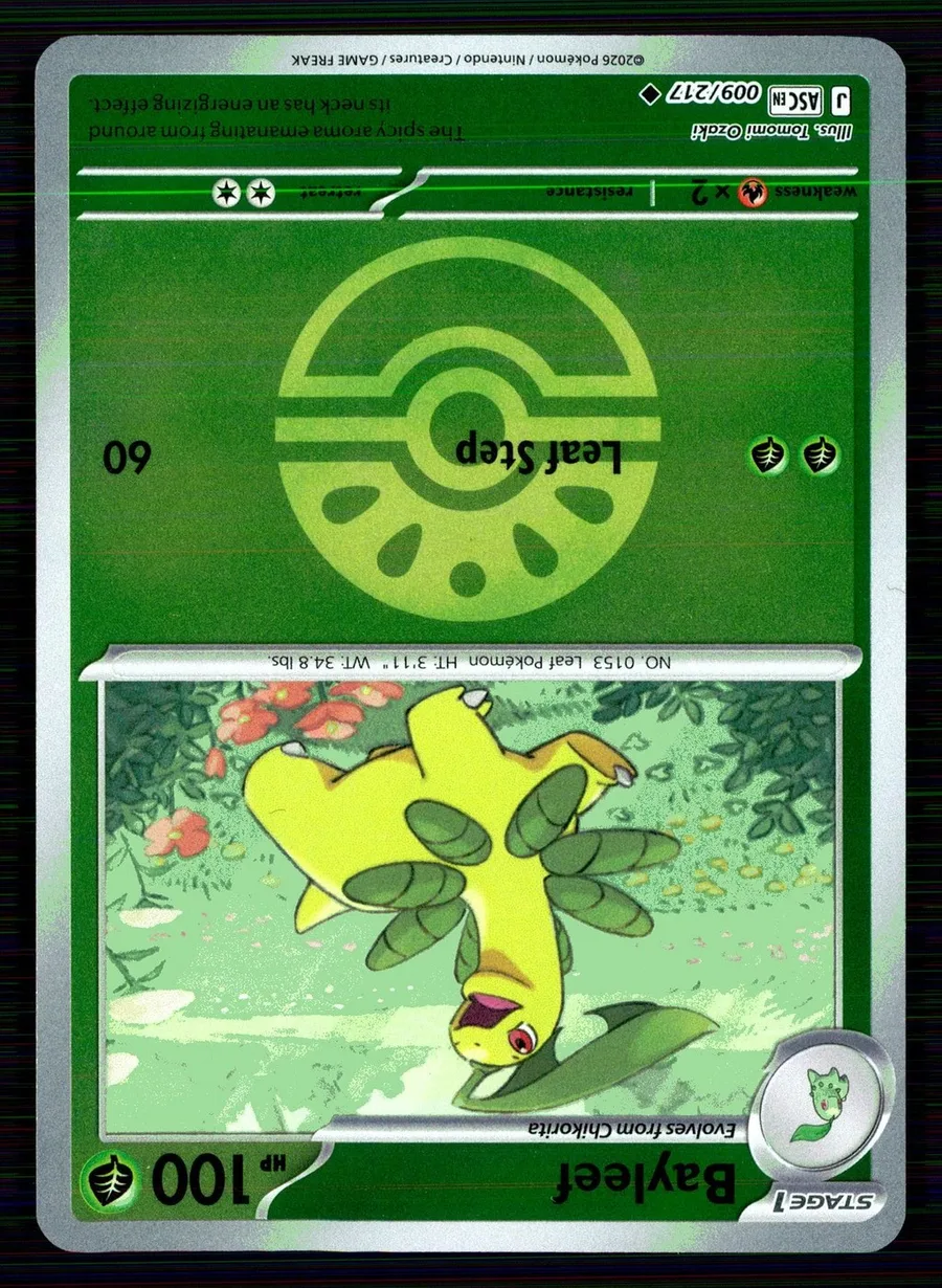 Bayleef Ascended Heroes #9