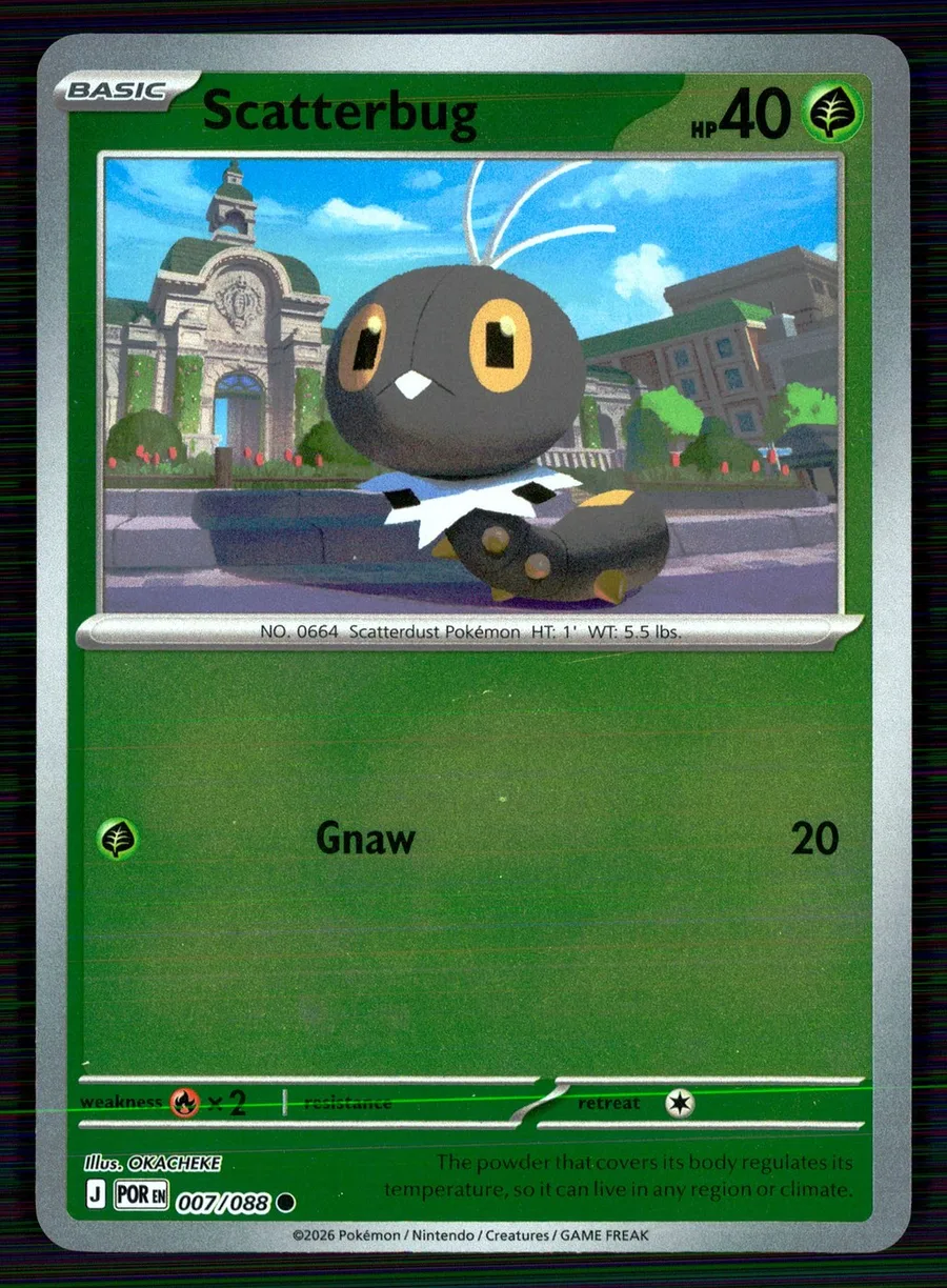 Scatterbug Perfect Order #7