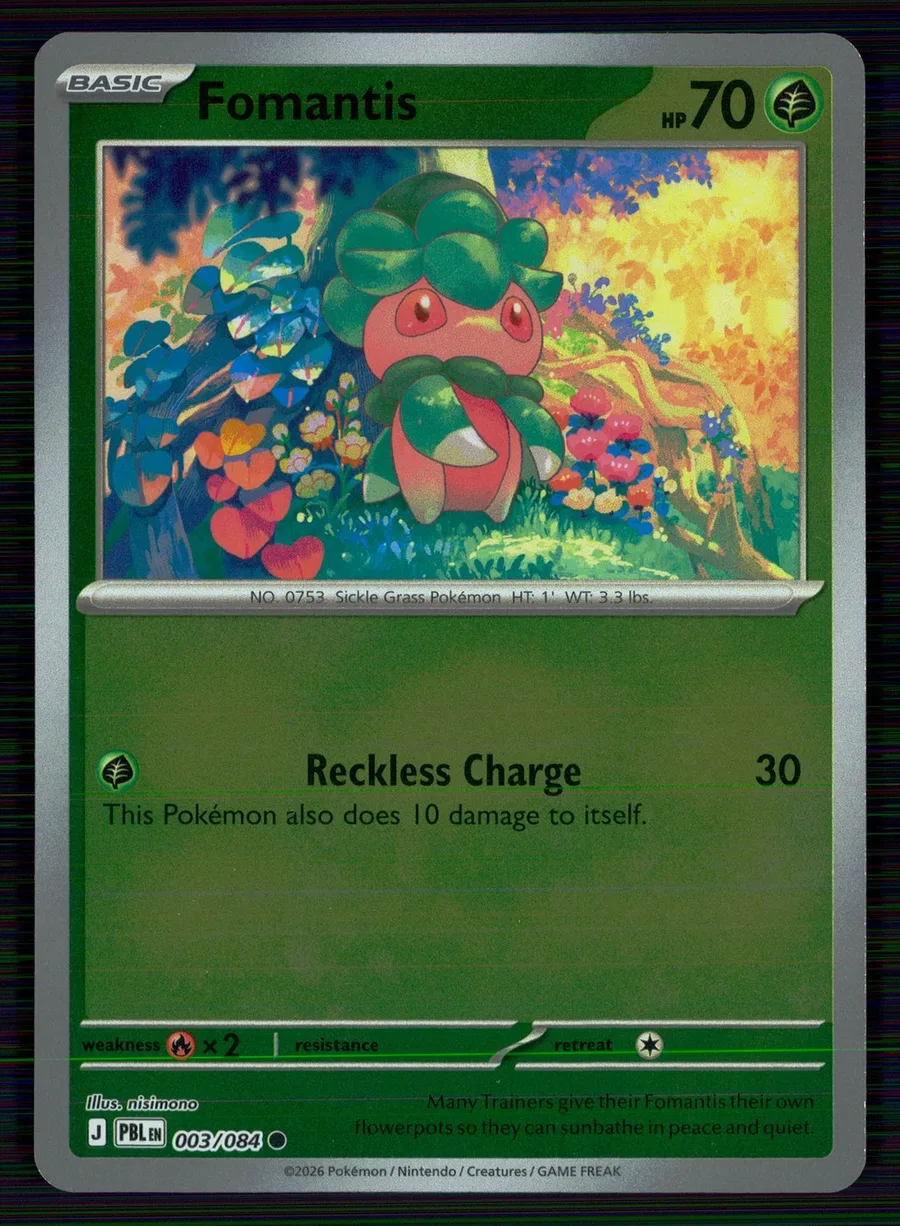 Fomantis Pitch Black #3