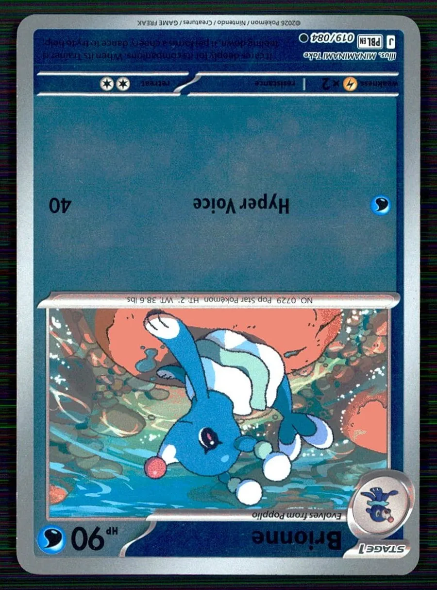 Brionne Pitch Black #19